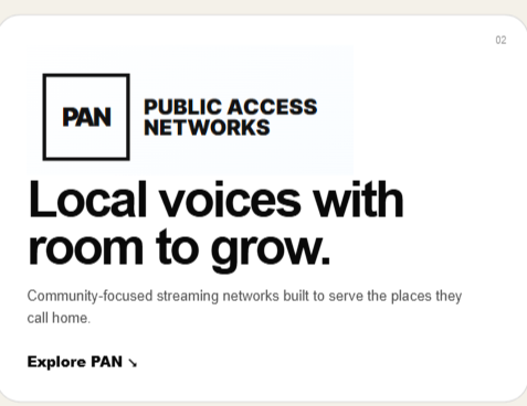 PAN Public Access Networks